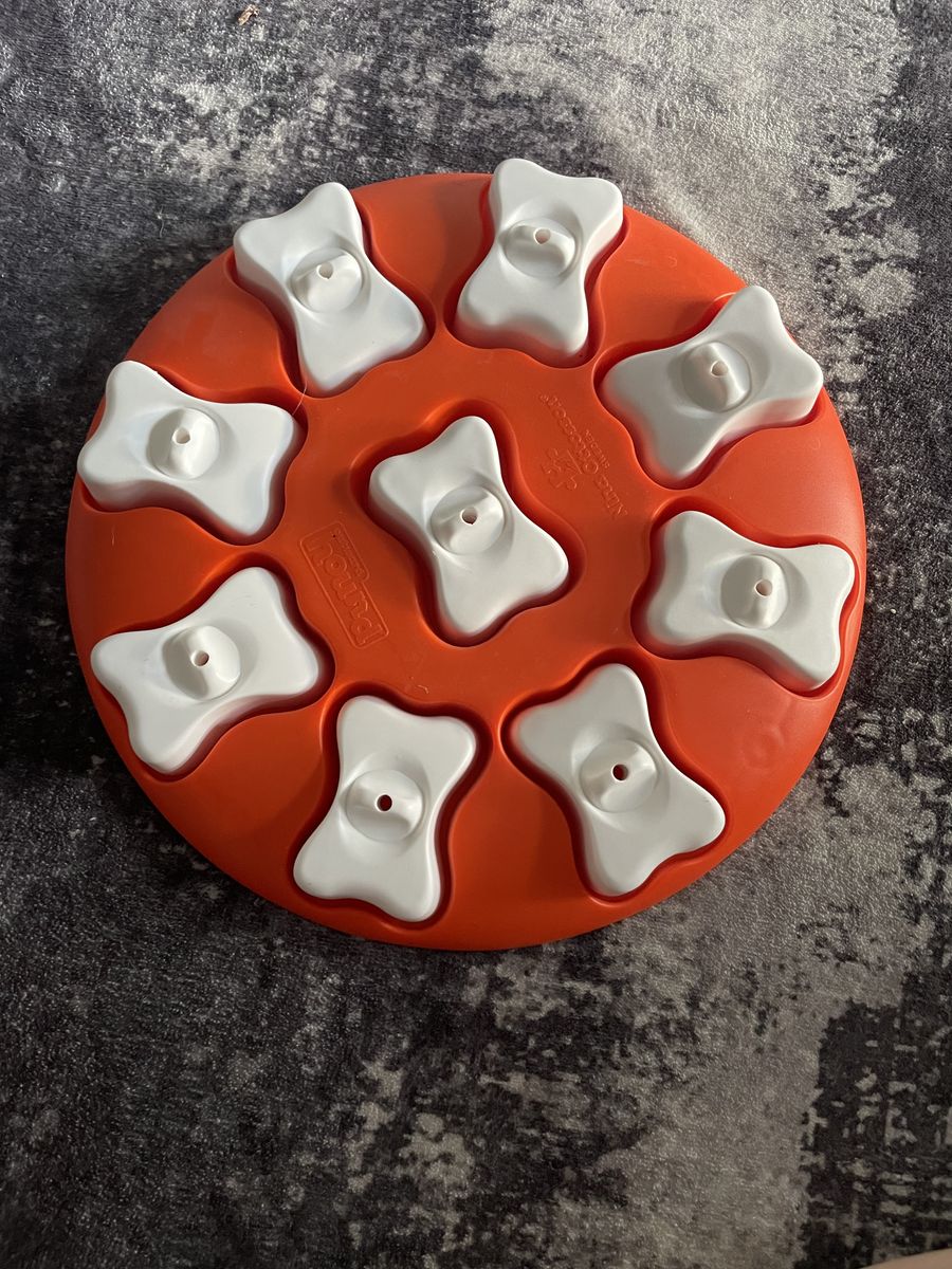 interactive Dog Toys