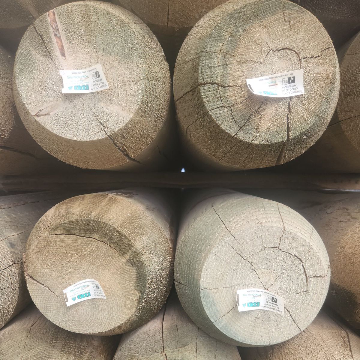 7" treated doweled pine posts