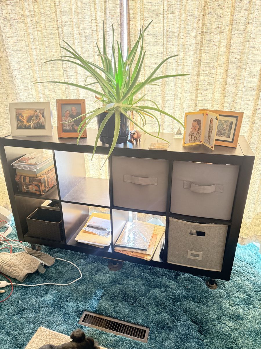 Black Cube Storage Organizer with 6 Cubbies, 3 Fabric Bins Included - Versatile Shelf Unit
