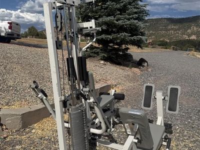 HOIST H310 WEIGHT MACHINE - $400