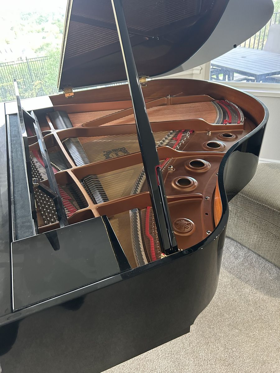 Main image 6