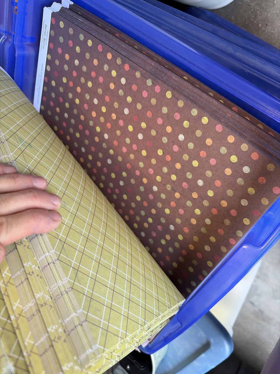 Sarah M Line Scrapbooking Paper Lot - Polka Dot & Plaid Patterns
