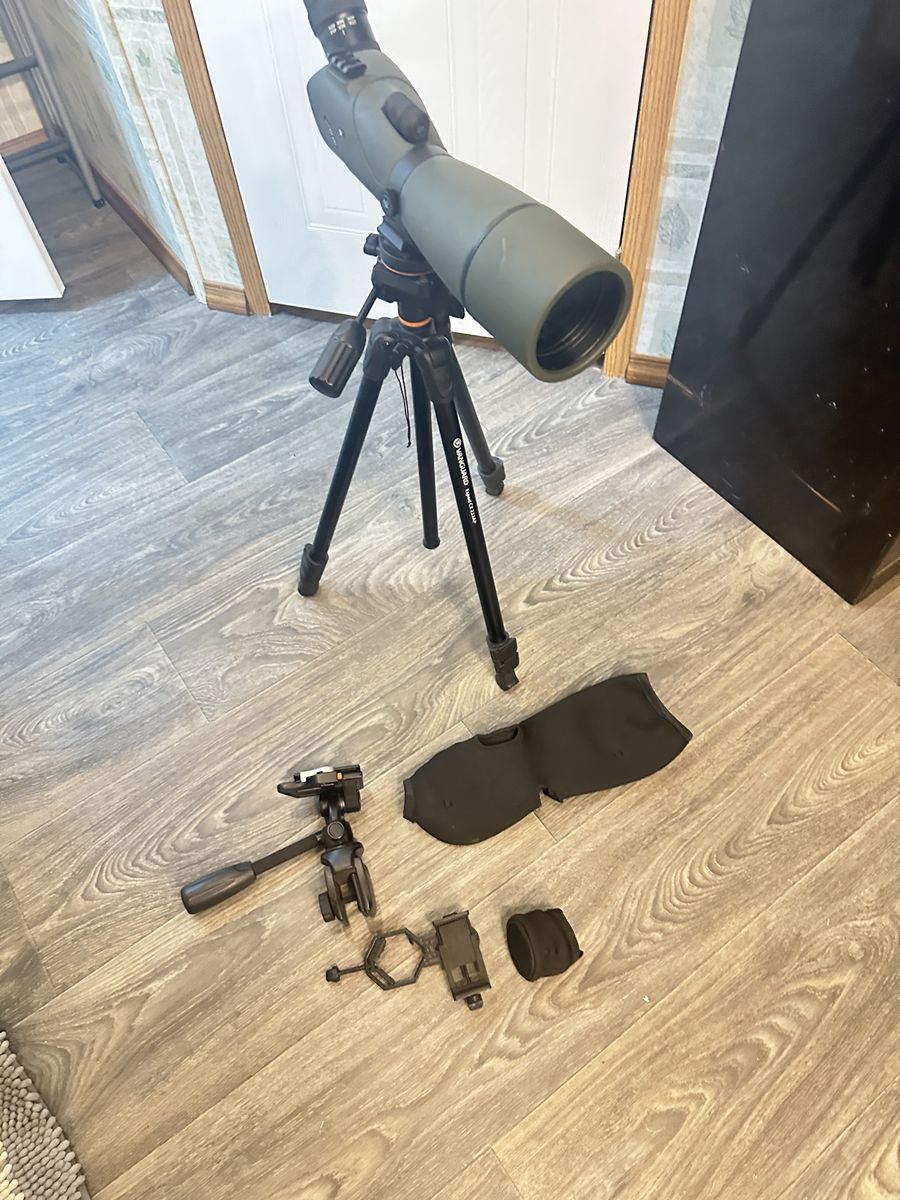 Main image 5