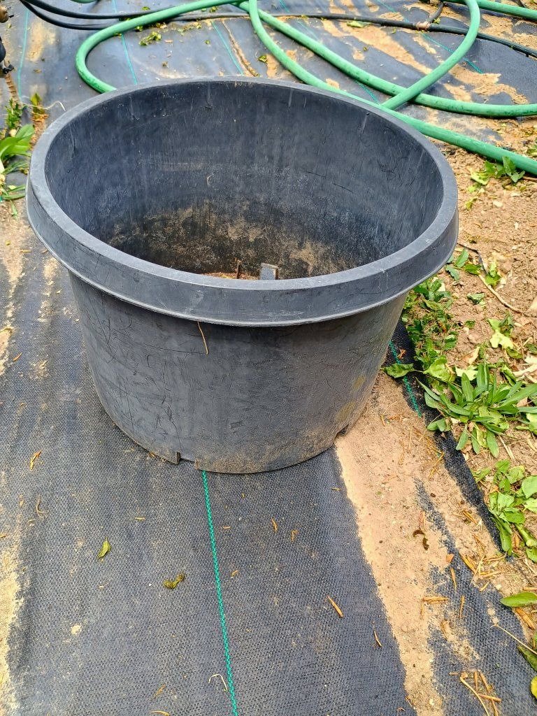 Plastic plant pot. 17" x 12" tall. black.