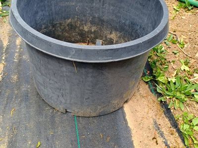 Plastic plant pot. 17" x 12" tall. black.