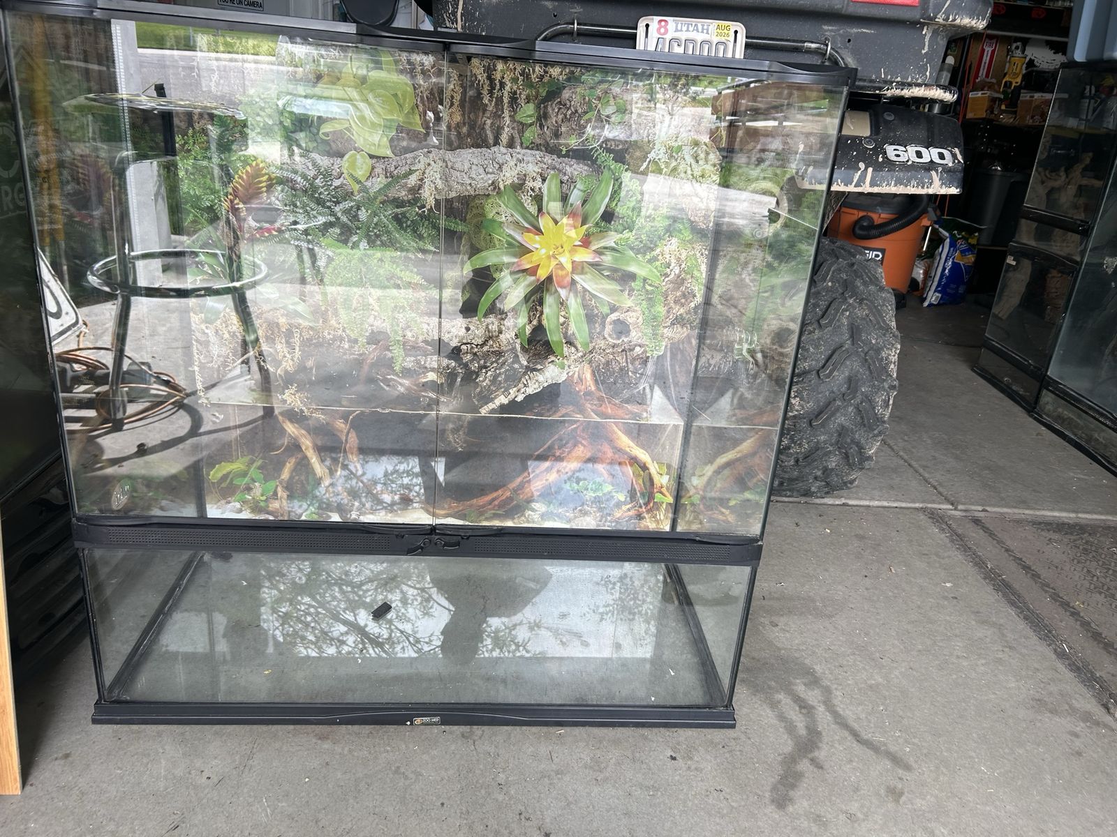 Zoomed terrarium