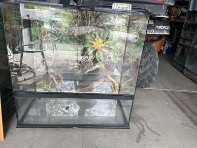 Zoomed terrarium