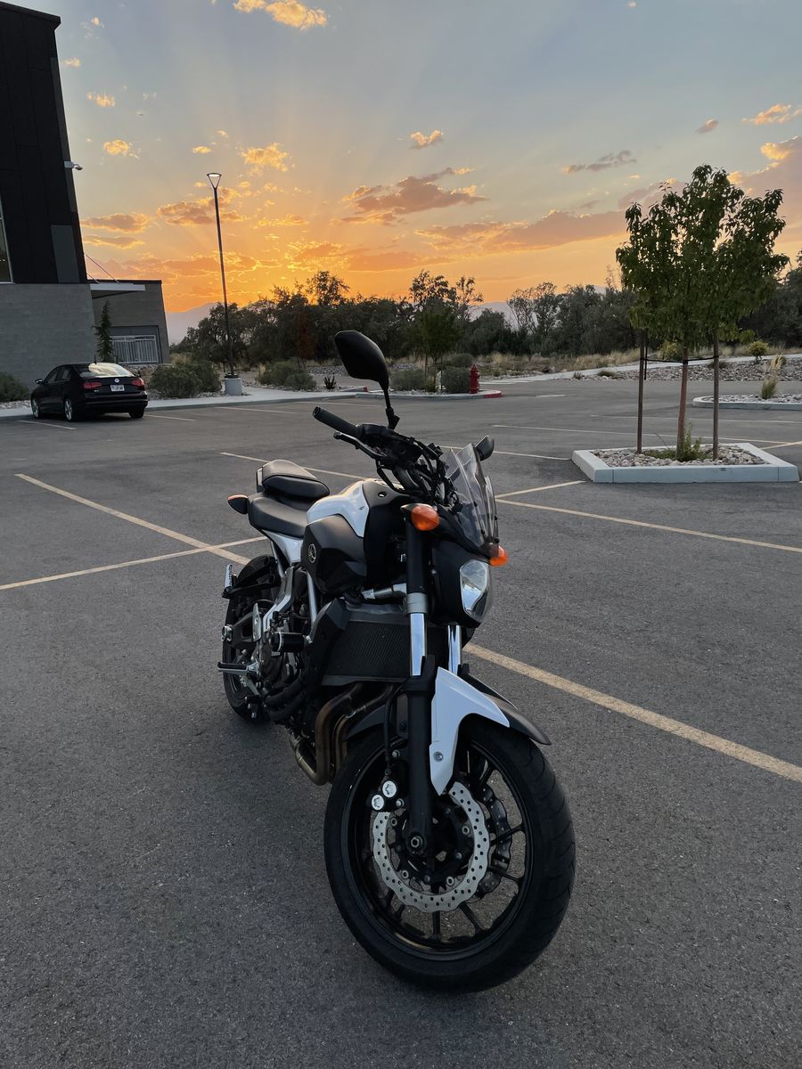 2015 Yamaha fz07