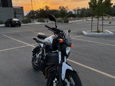 2015 Yamaha fz07