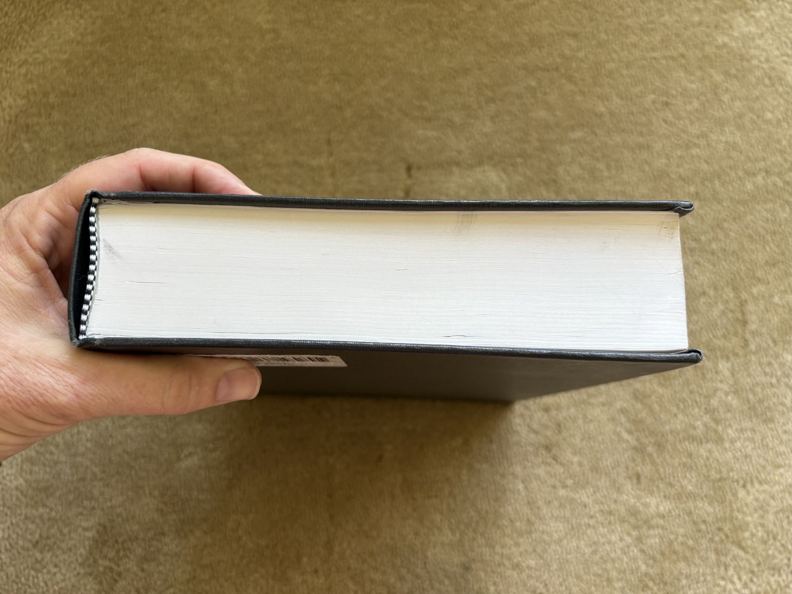 Main image 6