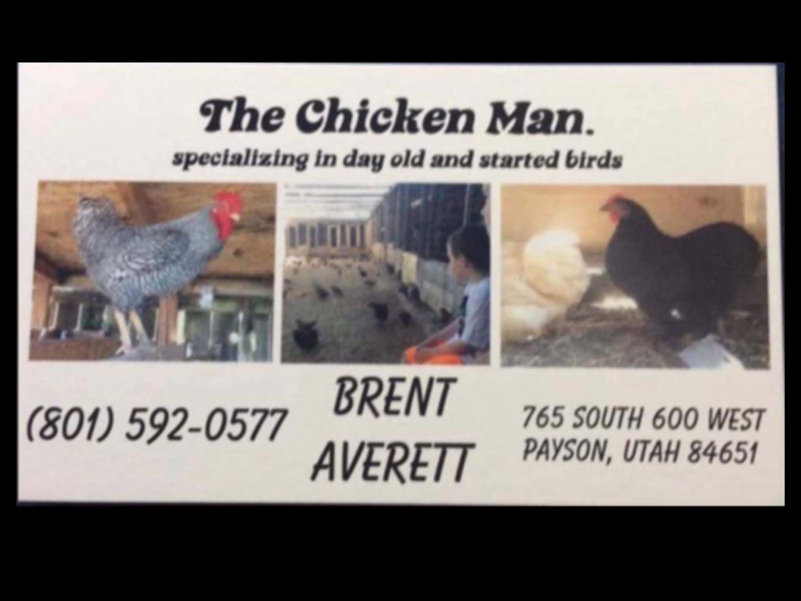 Chicken Dinner
