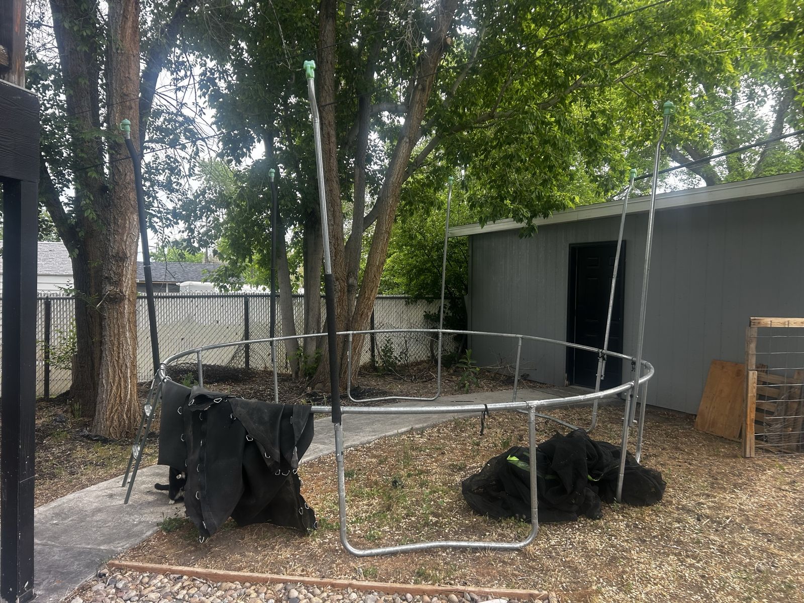 Trampoline