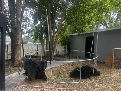Trampoline