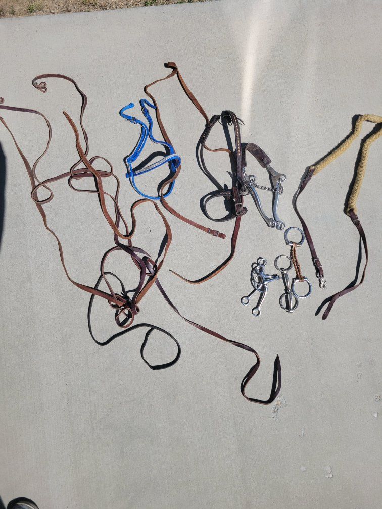 Assorted Used Horse Tack Lot - Bridles, Reins, Bits, and Halters