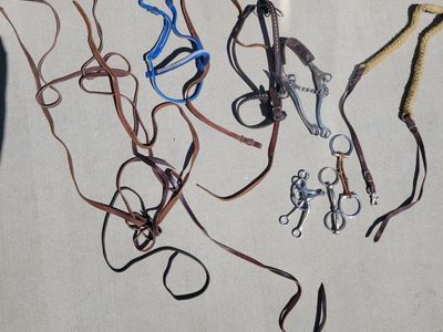 Assorted Used Horse Tack Lot - Bridles, Reins, Bits, and Halters