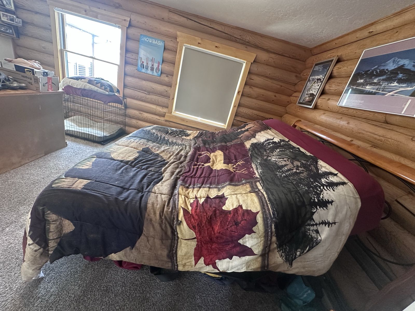 Main image 6
