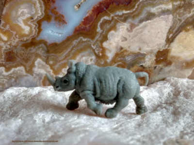 Rhino - Premium Plush Pillow