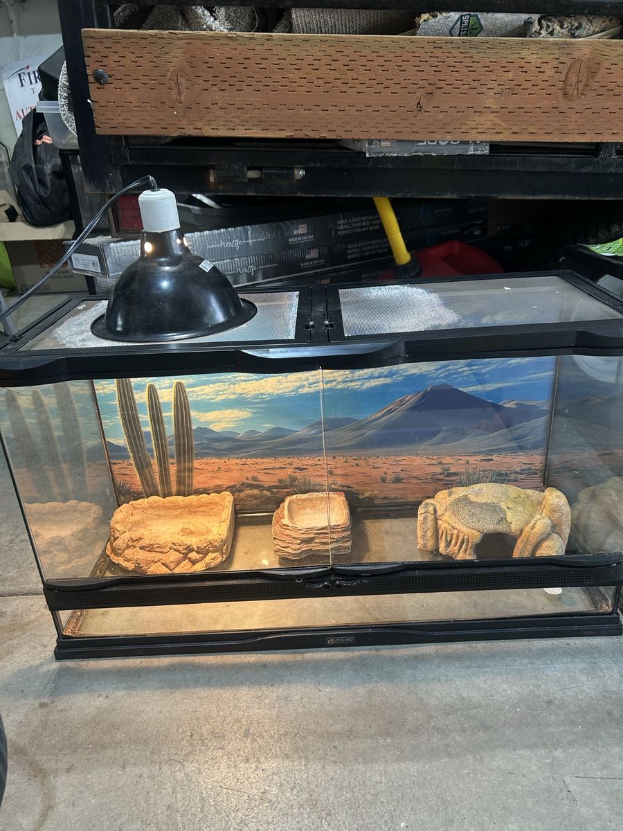 Reptile set up 