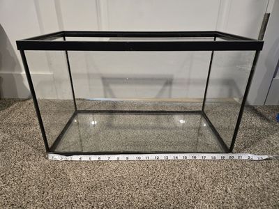 10 Gallon Tank with lid