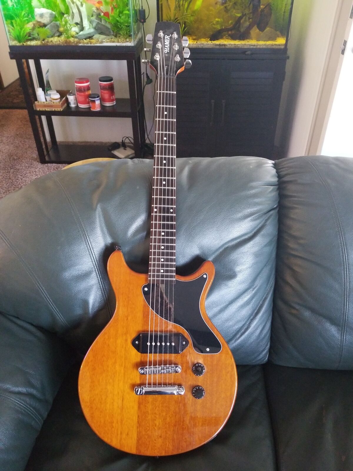 Hamer Special Jr SPJ-NT