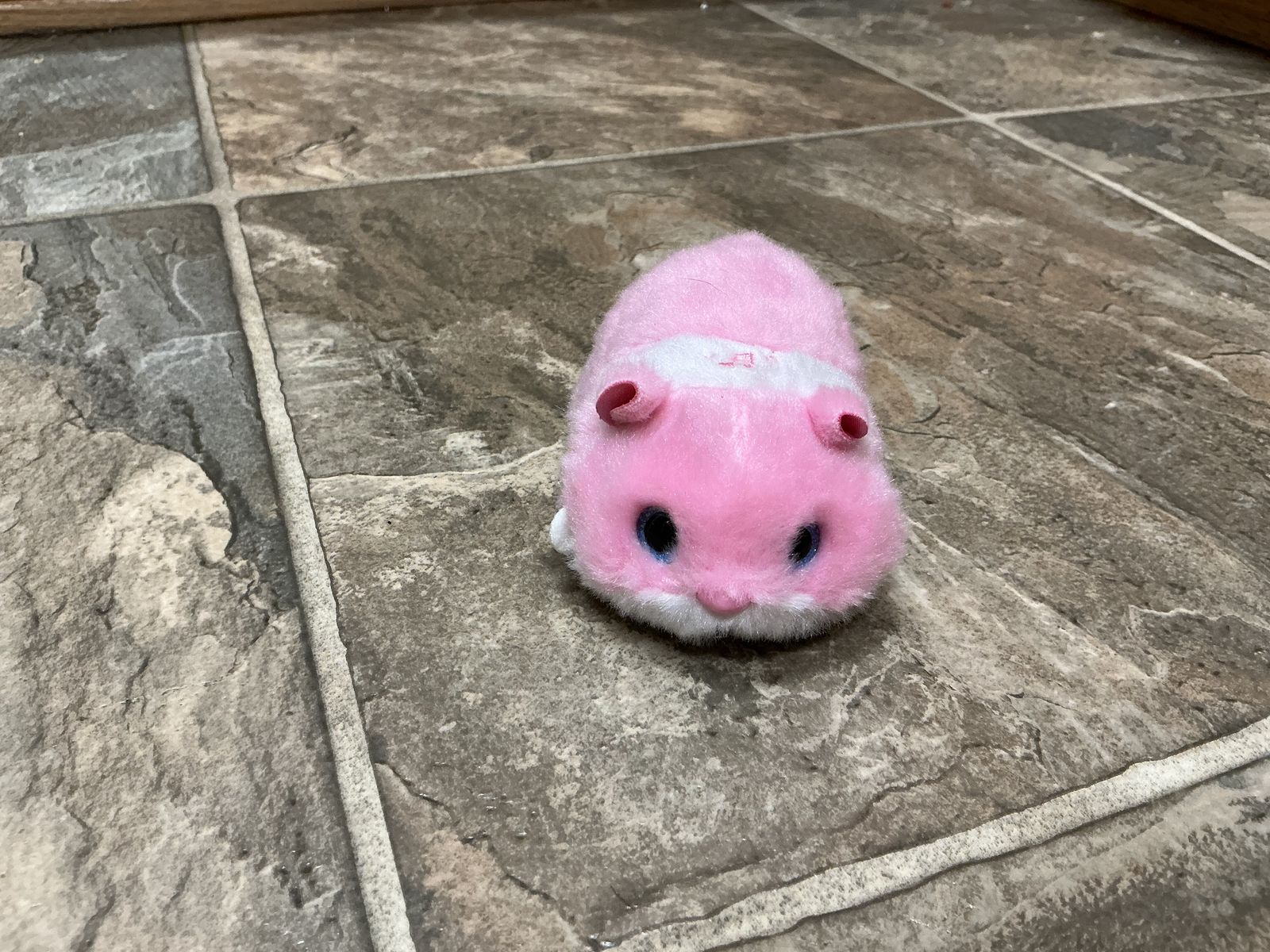 Cute Auto Hamster Toy