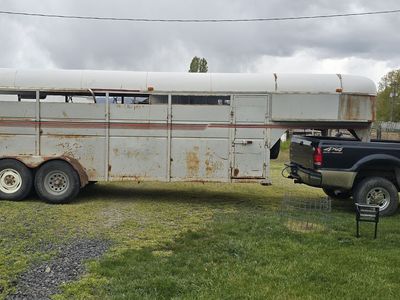 Stock/ Horse