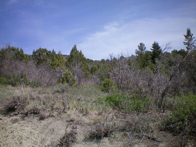 Build, Invest, Play on 5 Acres.