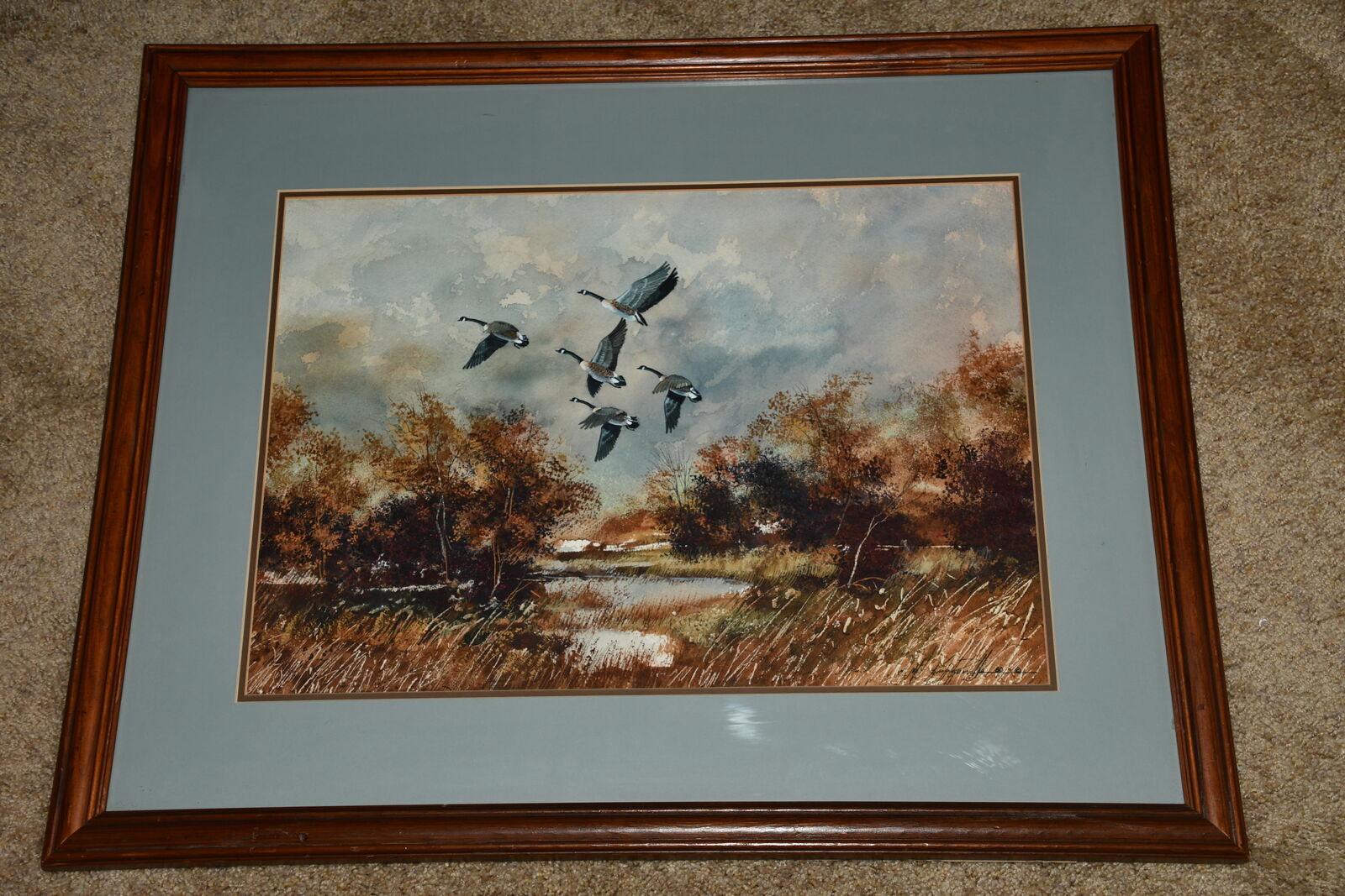 VINTAGE WATERCOLOR CANADIAN GEESE PICTURE ~ SIGNED ~ 22" x 28" FRAMED