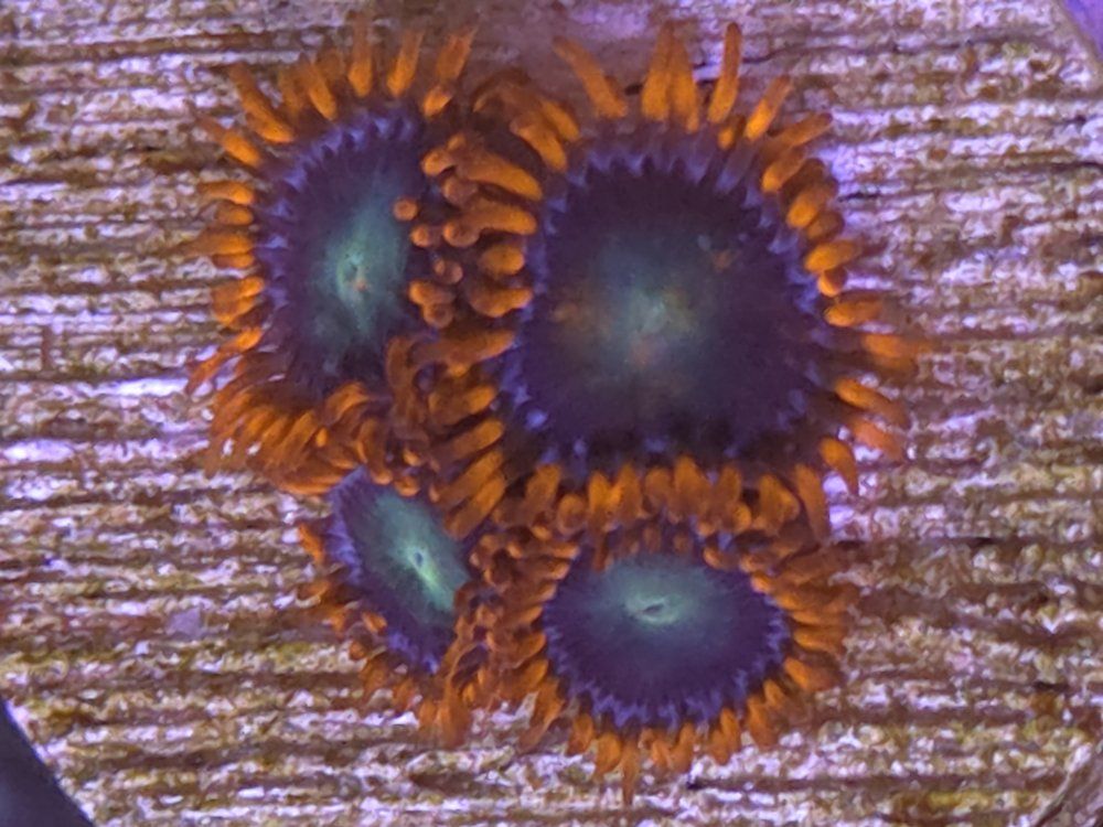 Main image 3