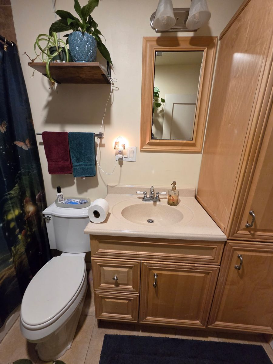 Main image 11