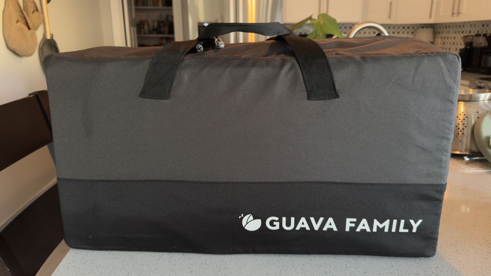 Guava Family Go Anywhere Portable Playard with Carrying Bag and Shade