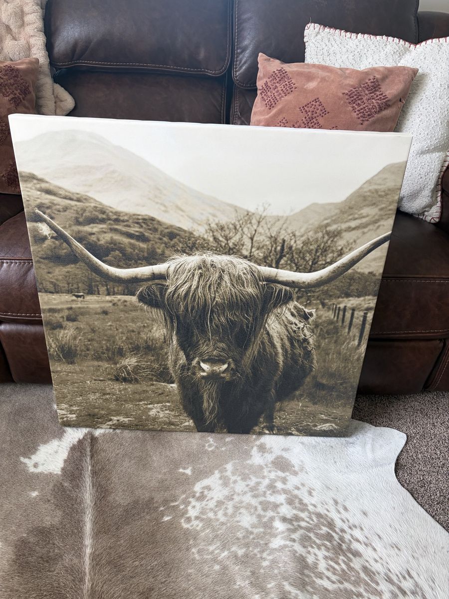 Highland Cow Canvas Wall Art - Rustic Farmhouse Decor, Large Print
