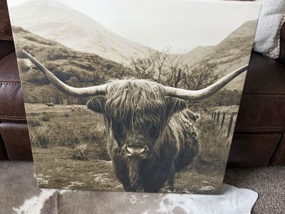 Highland Cow Canvas Wall Art - Rustic Farmhouse Decor, Large Print