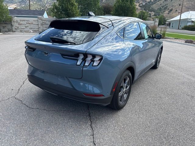 Main image 7
