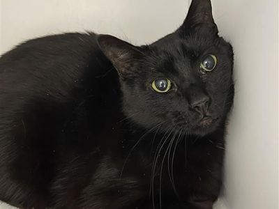 Hello my name is Tate