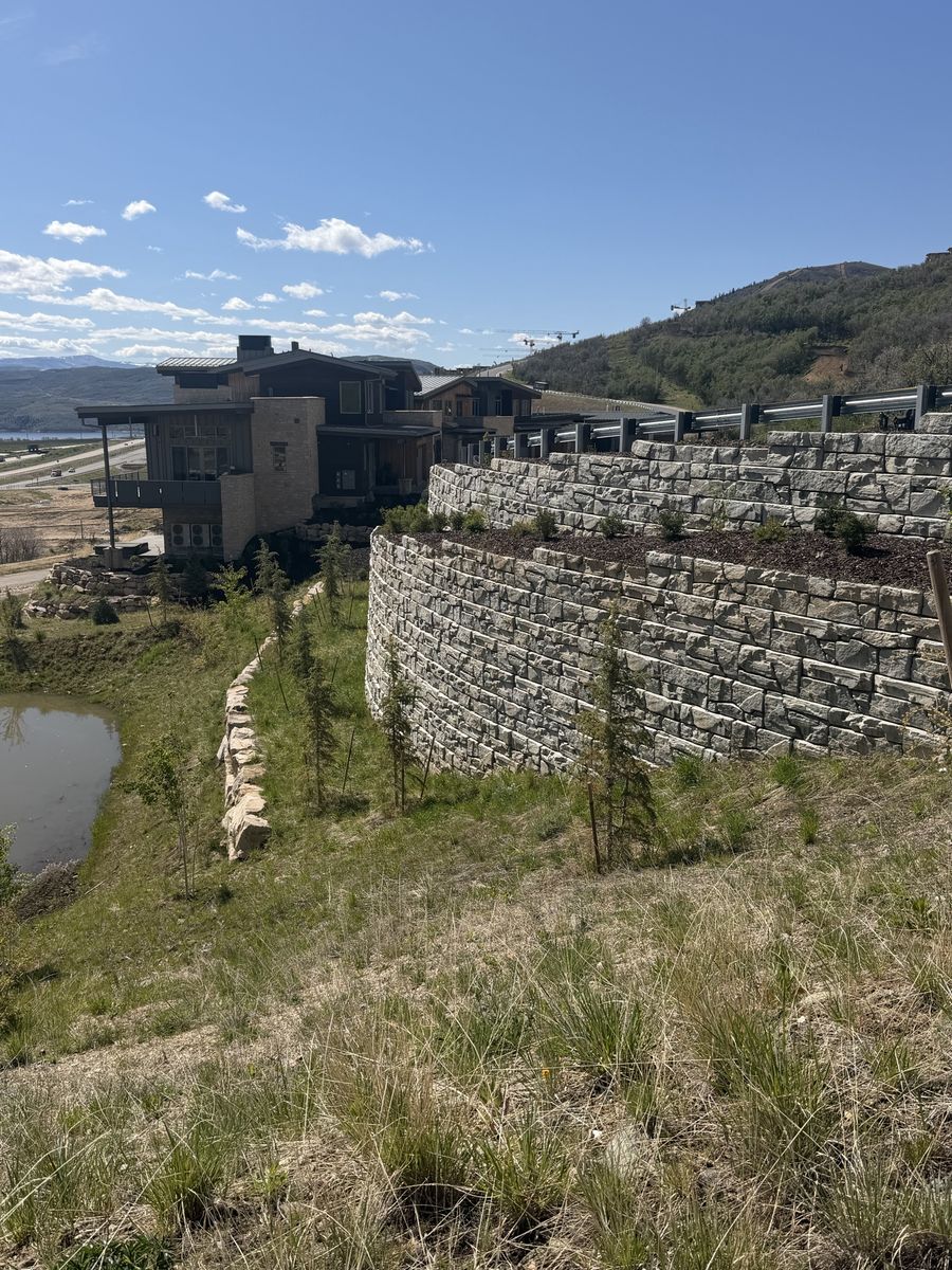 Main image 6