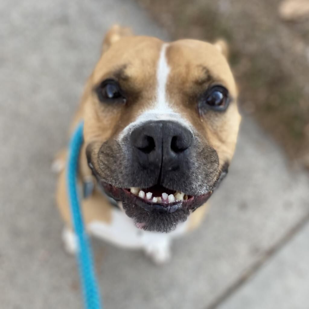 Hello my name is Zeus