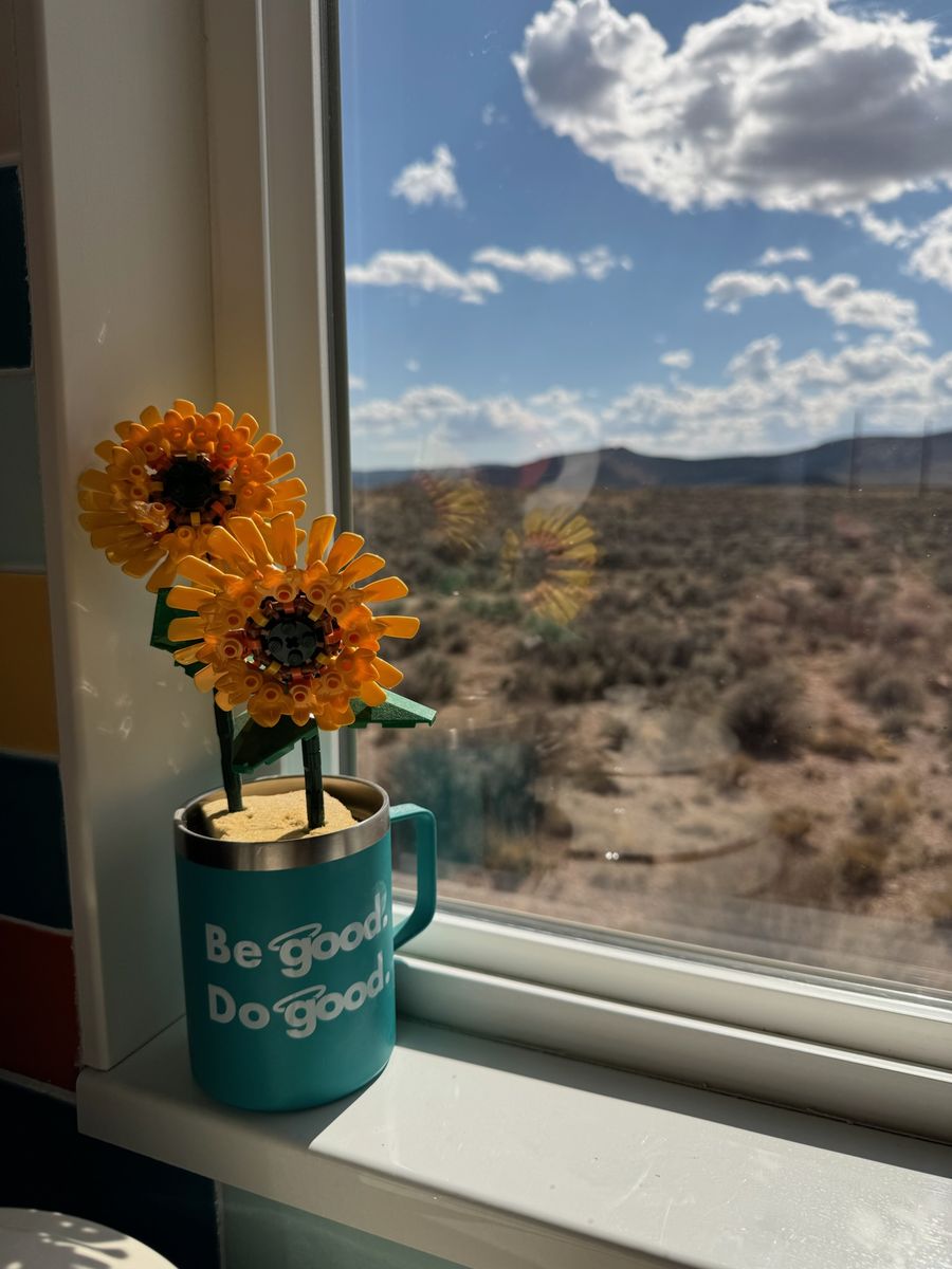 Main image 15