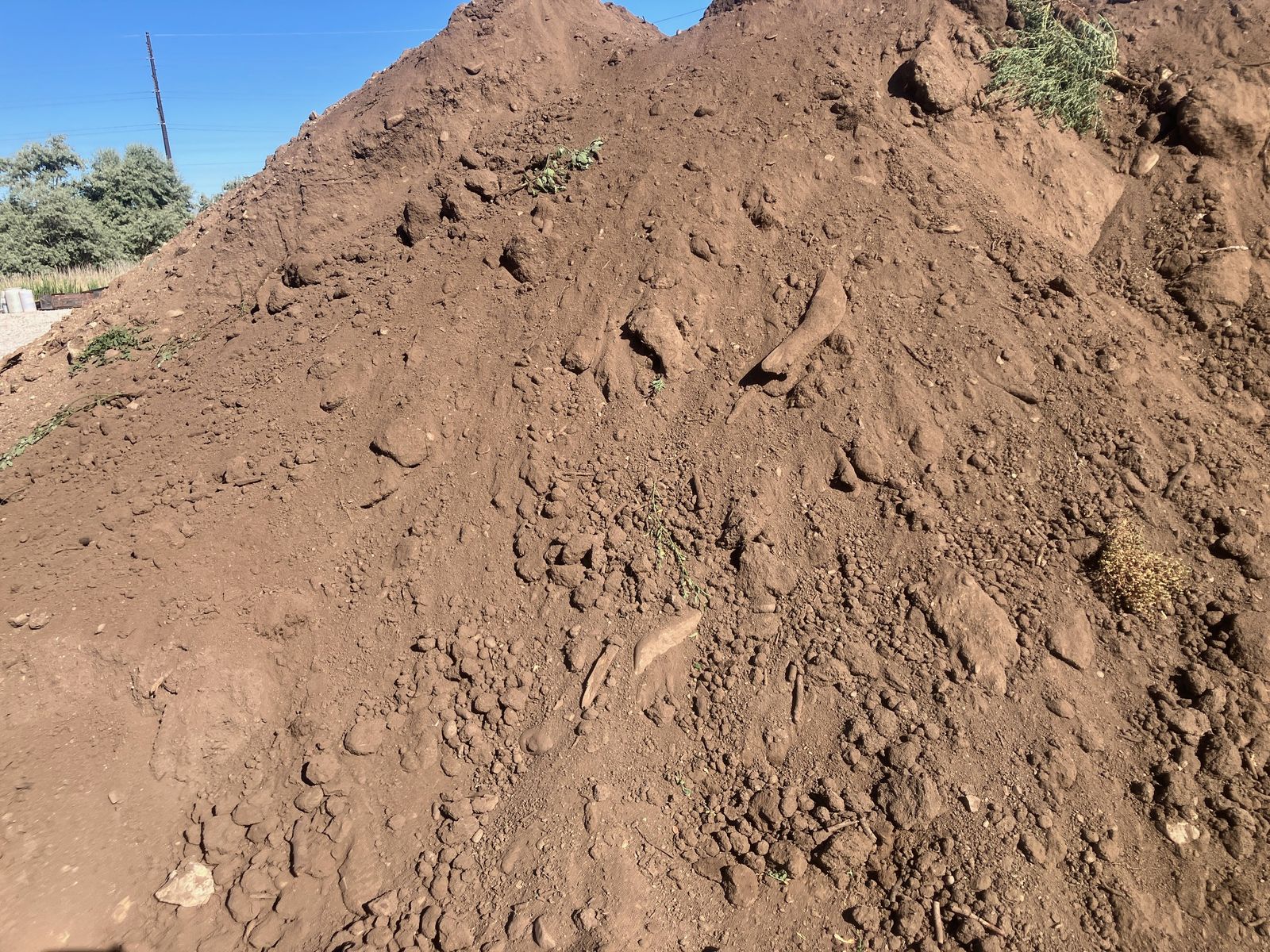 Sandy Topsoil -- Unscreened