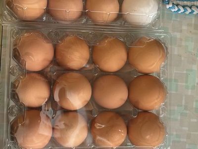 Fresh eggs