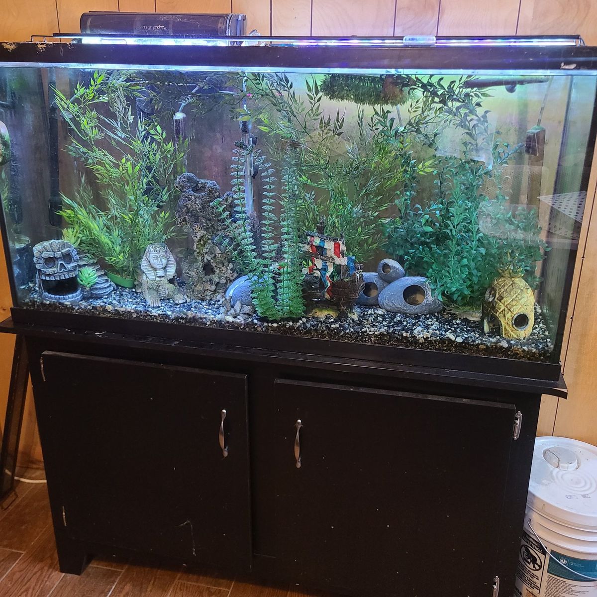 60 Gallon Aquarium and Stand