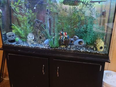 60 Gallon Aquarium and Stand