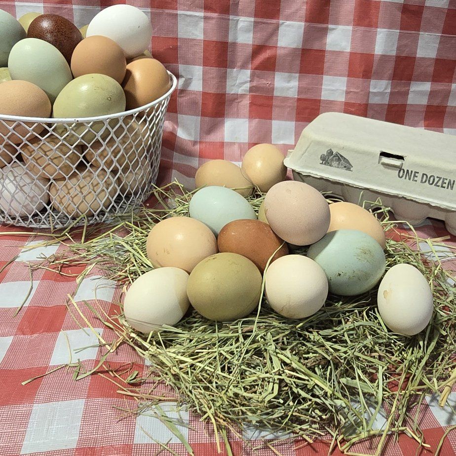 Tiny Raptor Nuggies  & Quacker Nuggies