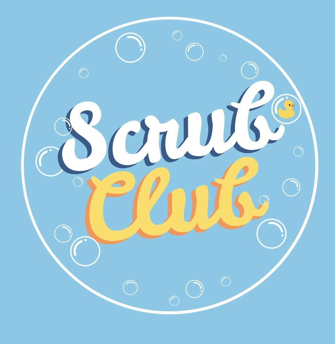 Established Car Seat Cleaning business