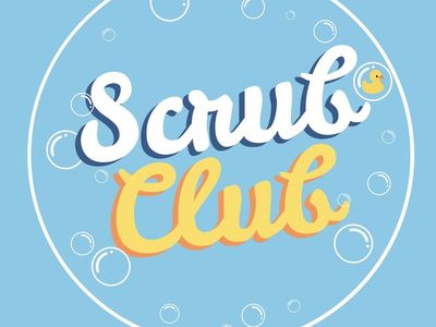 Established Car Seat Cleaning business