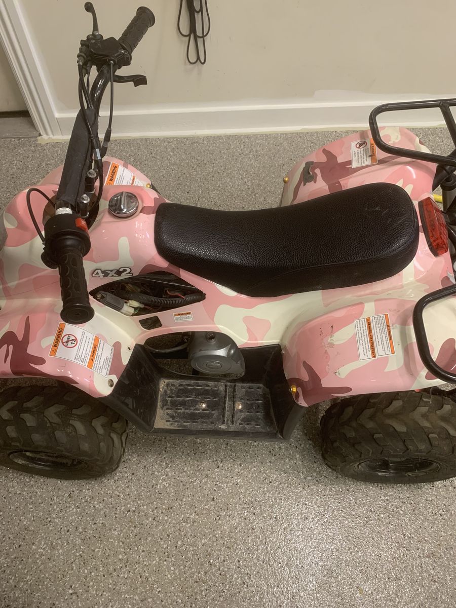 4 Wheeler Ice Bear 110 