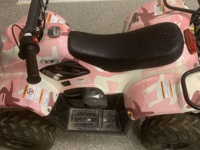 4 Wheeler Ice Bear 110