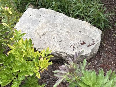 Landscape Rocks