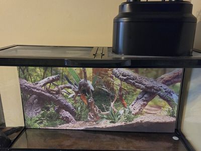 25G Zoo Med Terrarium