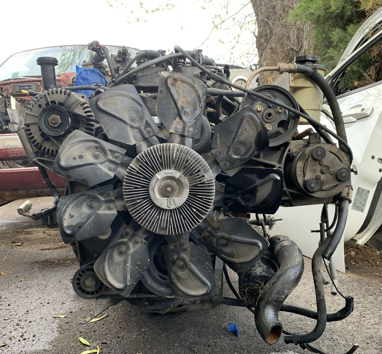 Ford SBF 302 5.0 v8 serprentine Belt Drive Set